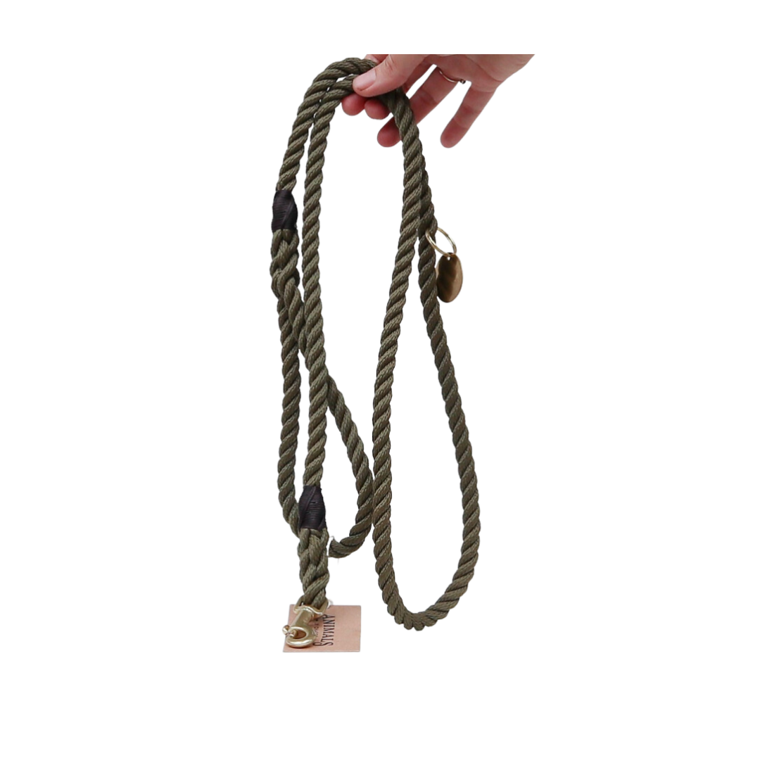 Noose leash hot sale